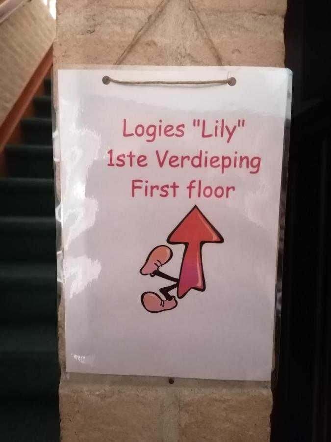 Apartament Logies Lily Oudenburg Zewnętrze zdjęcie