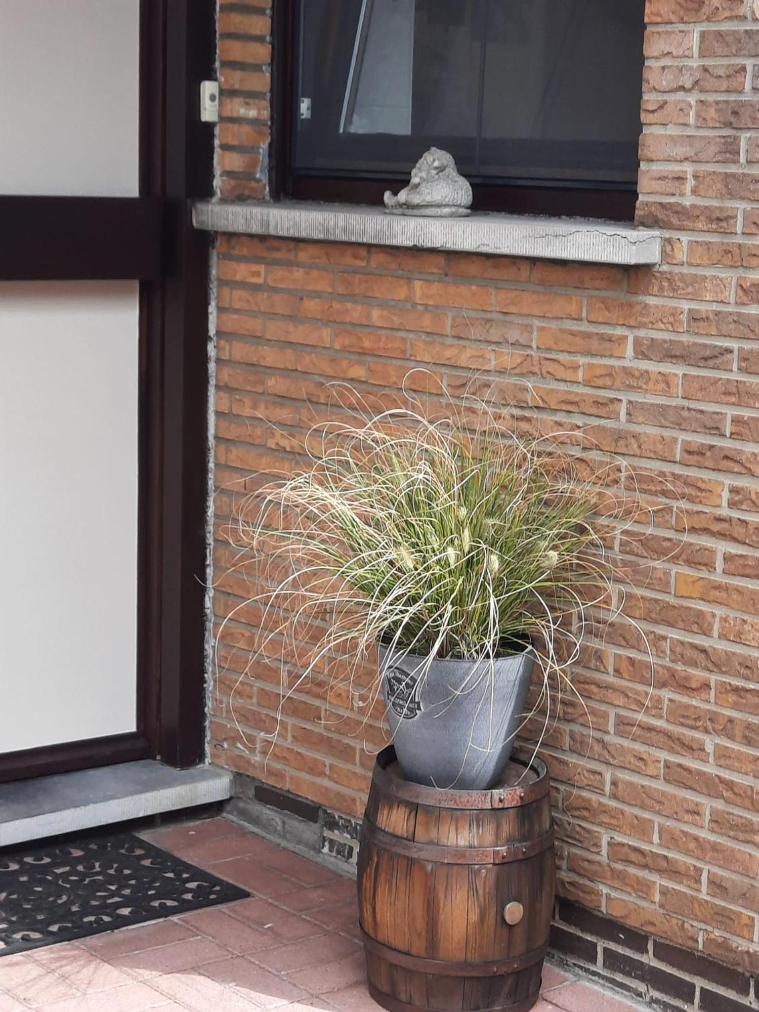 Apartament Logies Lily Oudenburg Zewnętrze zdjęcie