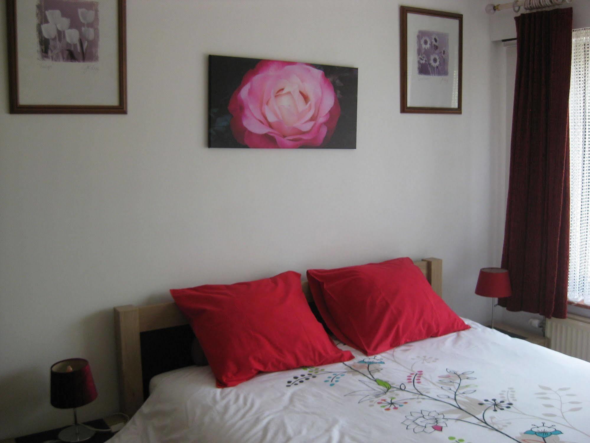Apartament Logies Lily Oudenburg Zewnętrze zdjęcie